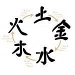 ACÇÃO ENERGÉTICA (67)